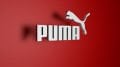 PUMA SAAT KORDONU